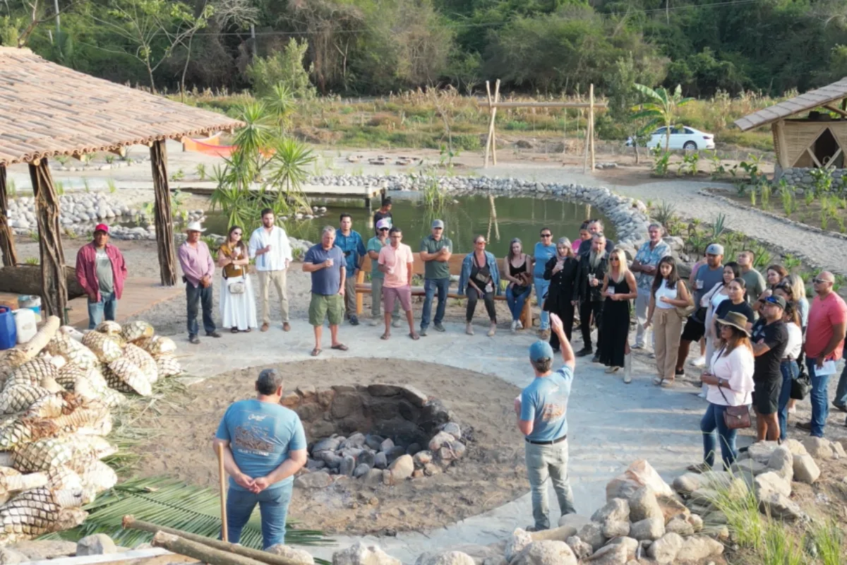 Six-acre agave farm at Cachasol Farm Distillery, Km 5 Carretera Punta Mita Nayarit Mexico